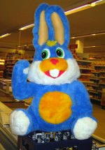 Hase